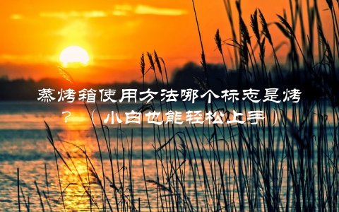 蒸烤箱使用方法哪个标志是烤？（小白也能轻松上手）