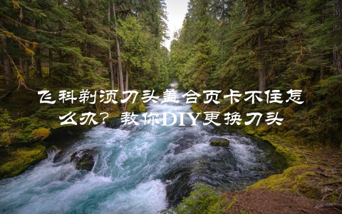 飞科剃须刀头盖合页卡不住怎么办？教你DIY更换刀头
