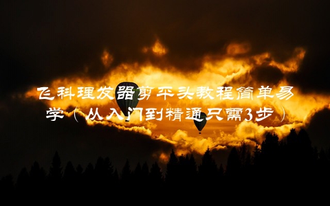 飞科理发器剪平头教程简单易学（从入门到精通只需3步）