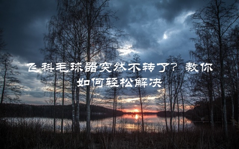 飞科毛球器突然不转了？教你如何轻松解决