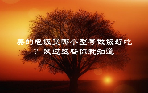 美的电饭煲哪个型号做饭好吃？试过这些你就知道