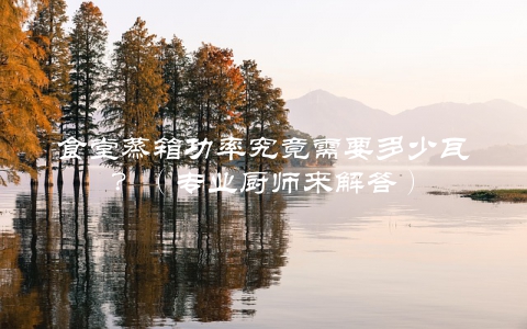 食堂蒸箱功率究竟需要多少瓦？（专业厨师来解答）