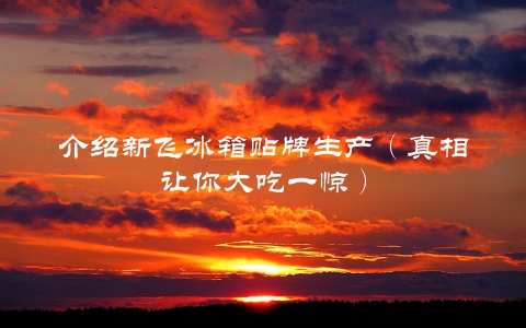 介绍新飞冰箱贴牌生产（真相让你大吃一惊）
