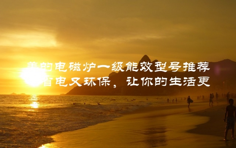 美的电磁炉一级能效型号推荐（省电又环保，让你的生活更美好）