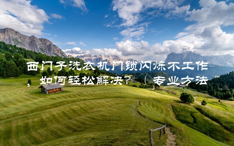 西门子洗衣机门锁闪烁不工作，如何轻松解决？（专业方法大介绍）