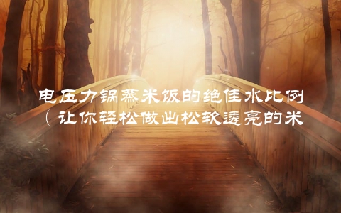 电压力锅蒸米饭的绝佳水比例（让你轻松做出松软透亮的米饭）
