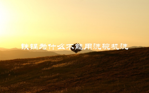 铁锅为什么不能用洗碗机洗
