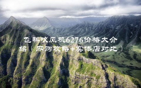 飞科吹风机6276价格大介绍（网购攻略+实体店对比）