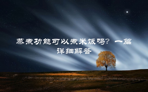 蒸煮功能可以煮米饭吗？一篇详细解答