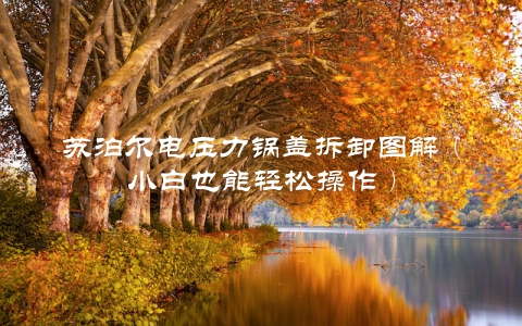 苏泊尔电压力锅盖拆卸图解（小白也能轻松操作）