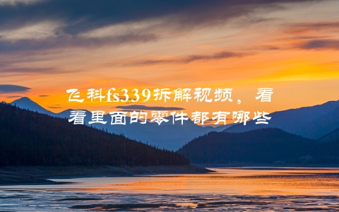 飞科fs339拆解视频，看看里面的零件都有哪些