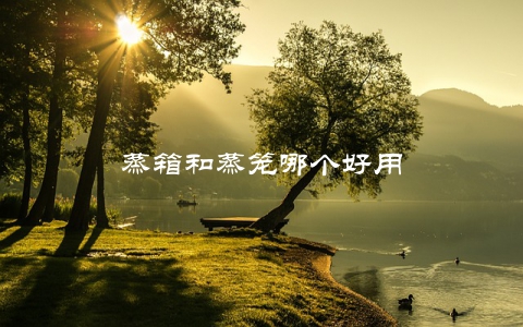 蒸箱和蒸笼哪个好用