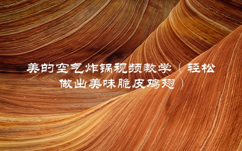 美的空气炸锅视频教学（轻松做出美味脆皮鸡翅）