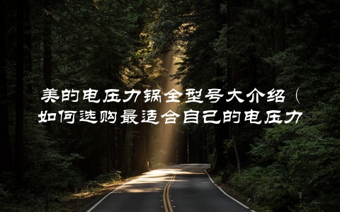 美的电压力锅全型号大介绍（如何选购最适合自己的电压力锅）