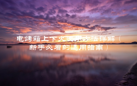 电烤箱上下火使用方法详解（新手必看的适用指南）