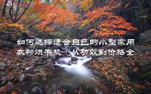 如何选择适合自己的小型家用衣物烘干机(从功效到价格全方位介绍)