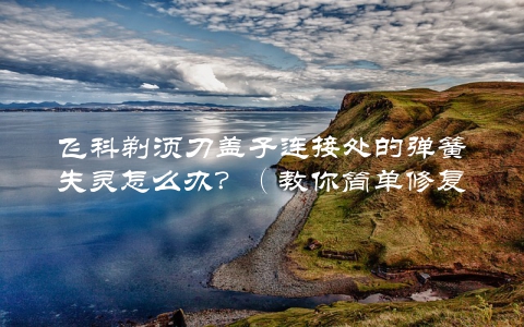 飞科剃须刀盖子连接处的弹簧失灵怎么办?(教你简单修复,省去换刀头的烦恼