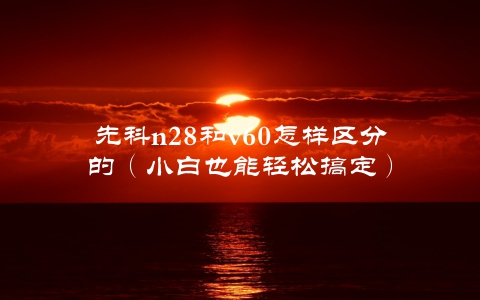 先科n28和v60怎样区分的（小白也能轻松搞定）