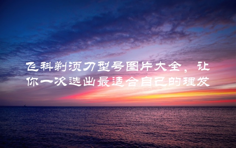 飞科剃须刀型号图片大全，让你一次选出最适合自己的理发神器