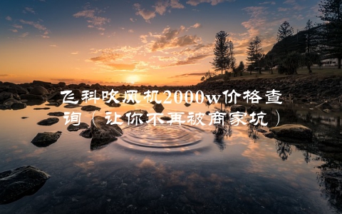 飞科吹风机2000w价格查询（让你不再被商家坑）