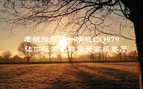 老板微蒸烤一体机CQ979,让你在家也能享受高级餐厅的美食体验