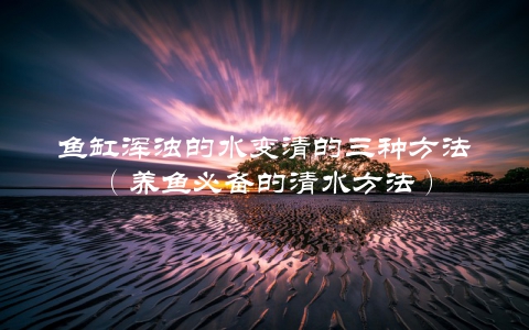 鱼缸浑浊的水变清的三种方法（养鱼必备的清水方法）