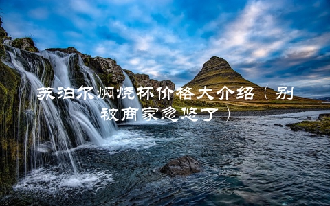 苏泊尔焖烧杯价格大介绍（别被商家忽悠了）