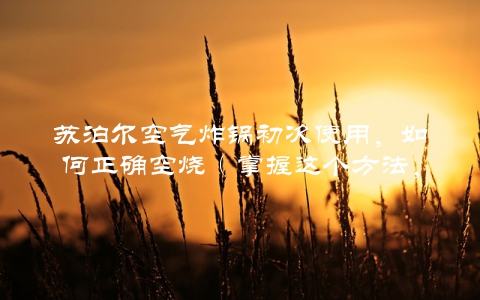 苏泊尔空气炸锅初次使用，如何正确空烧（掌握这个方法，让你的炸锅更加持久