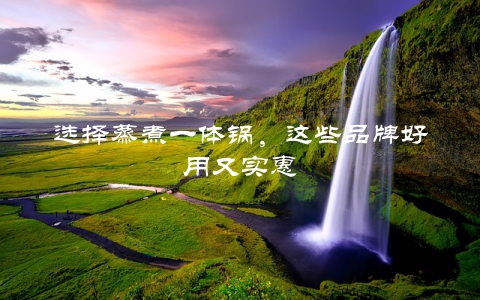 选择蒸煮一体锅，这些品牌好用又实惠