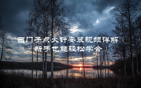 西门子点火针安装视频详解（新手也能轻松学会）