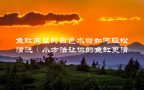 鱼缸内壁的白色水垢如何轻松清洗（小方法让你的鱼缸更清爽）