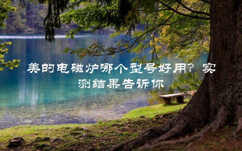 美的电磁炉哪个型号好用?实测结果告诉你