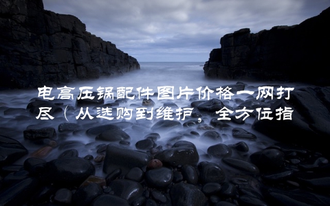 电高压锅配件图片价格一网打尽（从选购到维护，全方位指南）