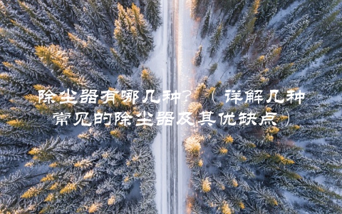 除尘器有哪几种？（详解几种常见的除尘器及其优缺点）
