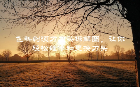 飞科剃须刀刀头拆解图，让你轻松维修和更换刀头