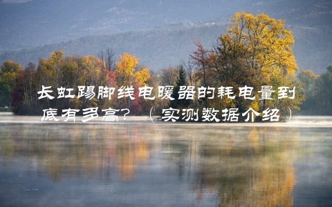 长虹踢脚线电暖器的耗电量到底有多高？（实测数据介绍）