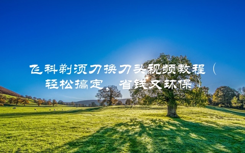 飞科剃须刀换刀头视频教程（轻松搞定，省钱又环保）