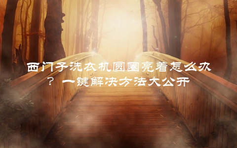 西门子洗衣机圆圈亮着怎么办？一键解决方法大公开