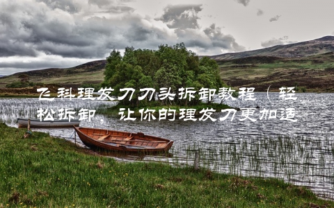 飞科理发刀刀头拆卸教程（轻松拆卸，让你的理发刀更加适用）