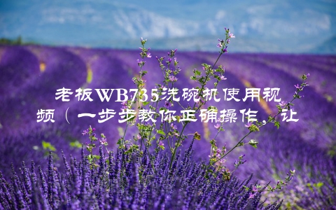 老板WB735洗碗机使用视频（一步步教你正确操作，让家务更省心）