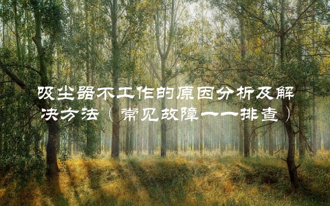 吸尘器不工作的原因分析及解决方法（常见故障一一排查）