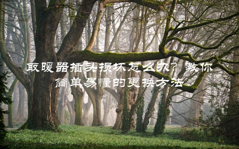 取暖器插头损坏怎么办？教你简单易懂的更换方法
