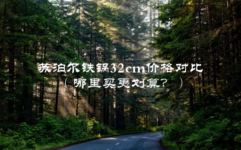 苏泊尔铁锅32cm价格对比（哪里买更划算？）