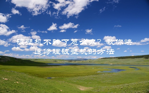 破壁机不转了怎么办？教你快速修理破壁机的方法
