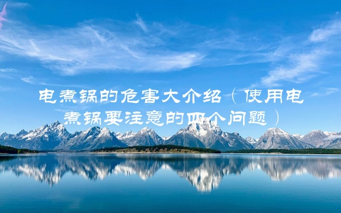 电煮锅的危害大介绍(使用电煮锅要注意的四个问题)