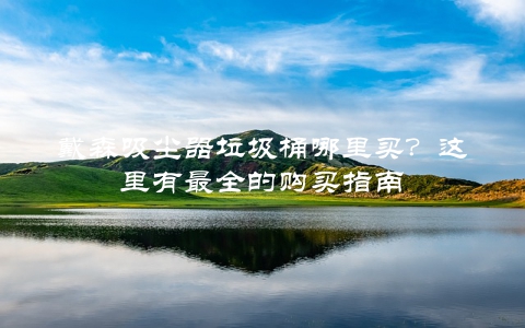 戴森吸尘器垃圾桶哪里买？这里有最全的购买指南
