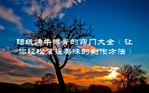 锡纸烤牛排骨的窍门大全（让你轻松掌握美味的制作方法）