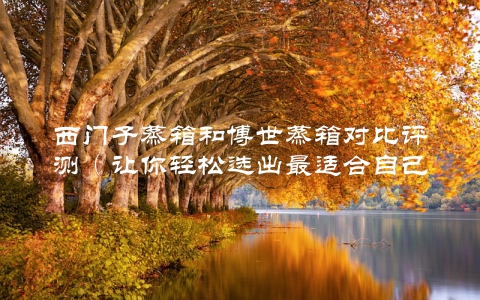 西门子蒸箱和博世蒸箱对比评测（让你轻松选出最适合自己的）