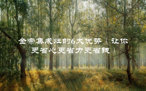 金帝集成灶的6大优势（让你更省心更省力更省钱）