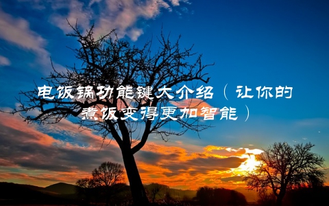 电饭锅功能键大介绍（让你的煮饭变得更加智能）